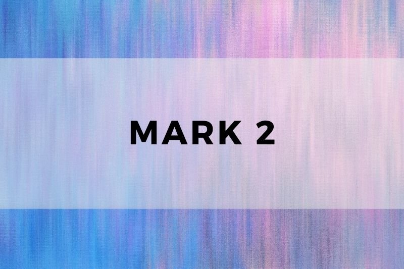Mark 2