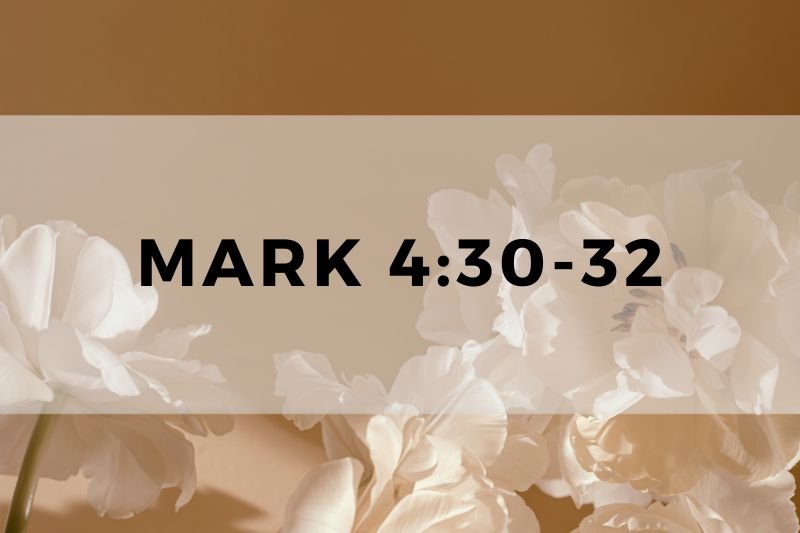 Mark 4:30-32